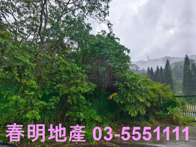 竹東林地-9