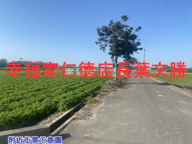 台南農地-3