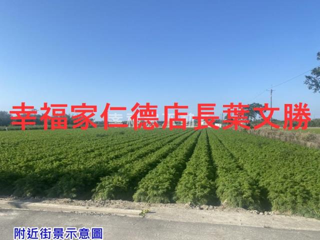 台南農地-6