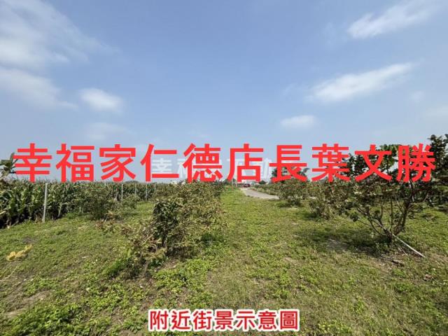 台南鹽水農地-11