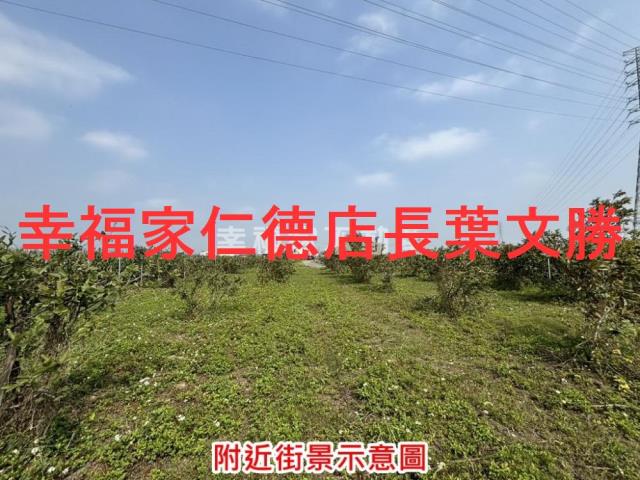 台南鹽水農地-8