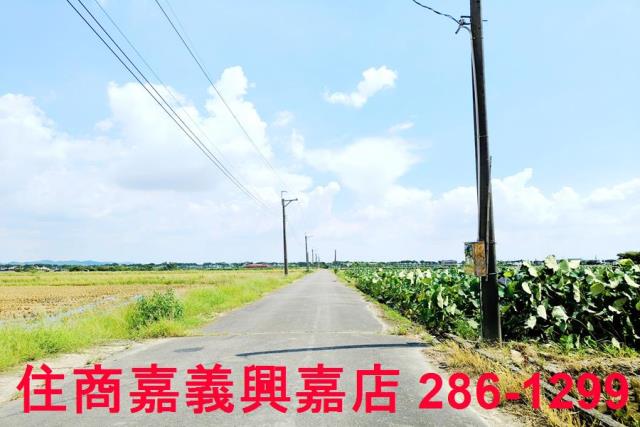 台南白河農地-3
