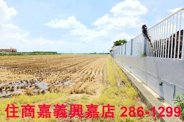 台南白河農地-5