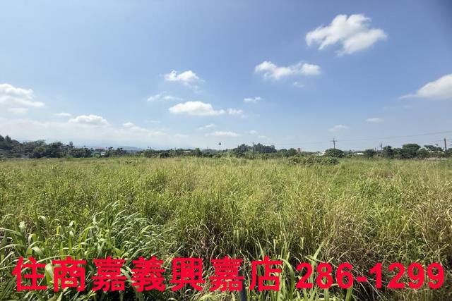 中埔農地-5