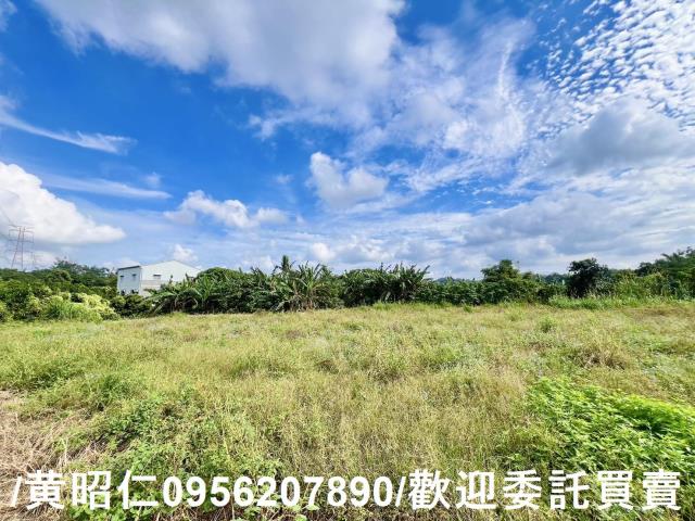 左鎮農地-2