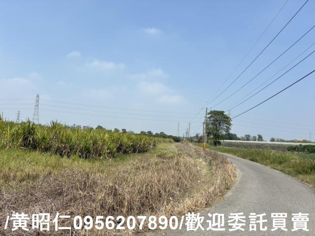 新市農地-12