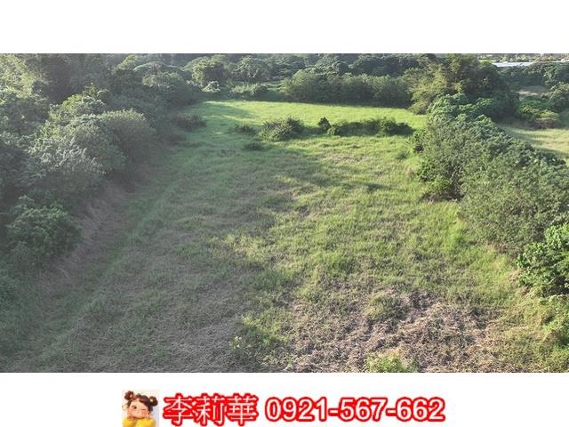 柳營農地-13