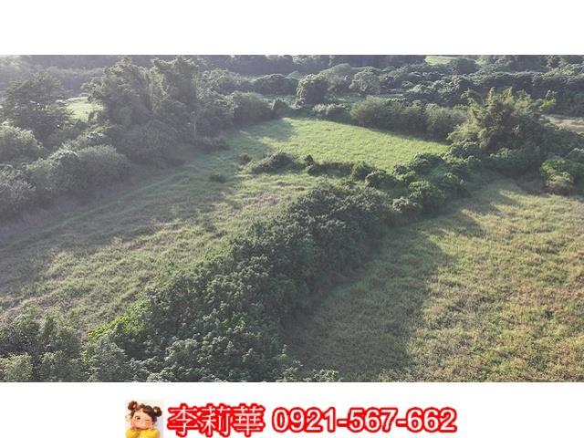 柳營農地-8
