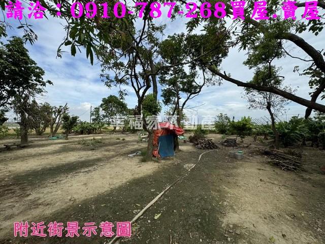 水上農地-14