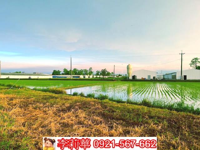 六甲農地-10