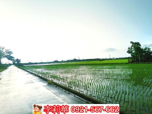 六甲農地-6
