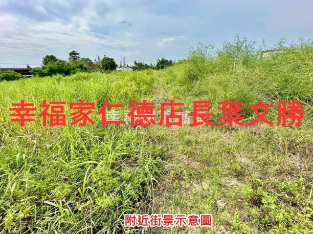 新化農地-10