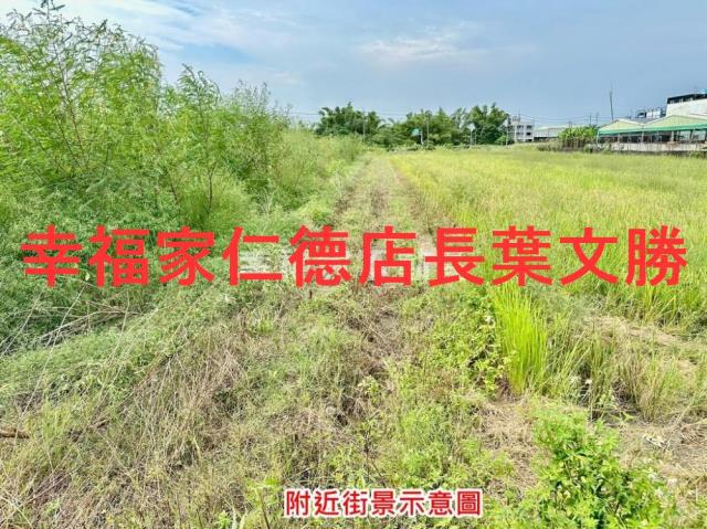新化農地-11