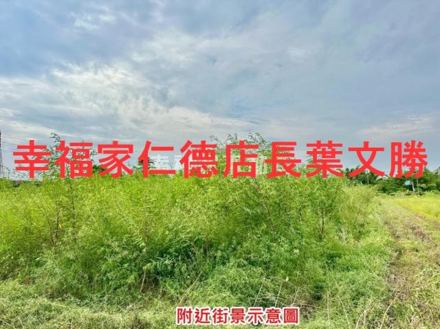新化農地-15