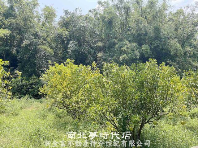 台南農地-1