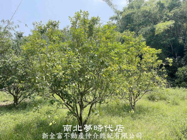 台南農地-2