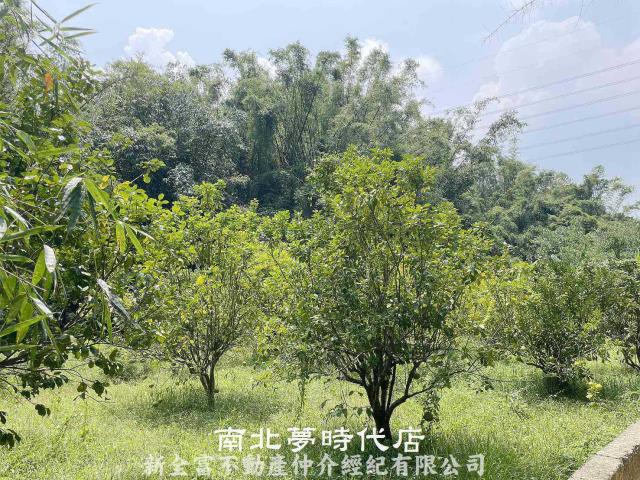 台南農地-4