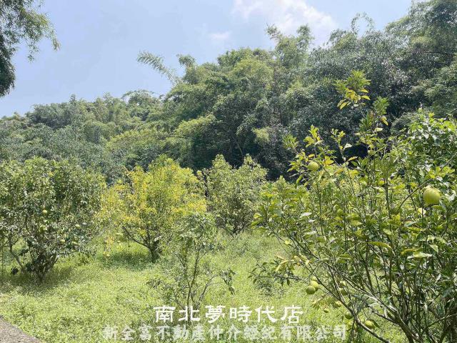 台南農地-5