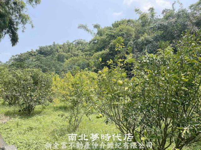 台南農地-6