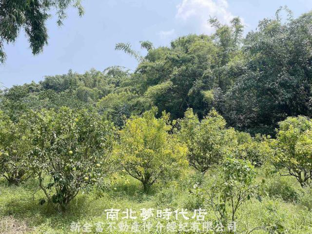 台南農地-7