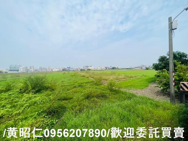 台南仁德農地-3