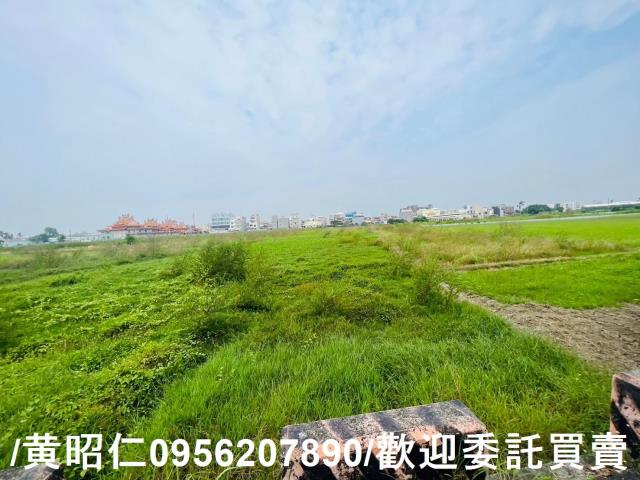台南仁德農地-6
