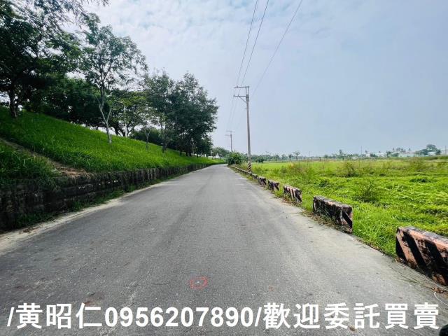 台南仁德農地-8