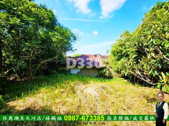 台南南化農地-10