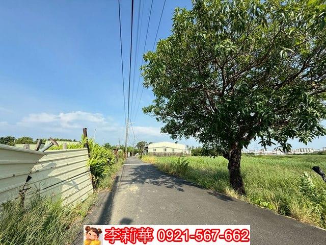 台南仁德農地-4