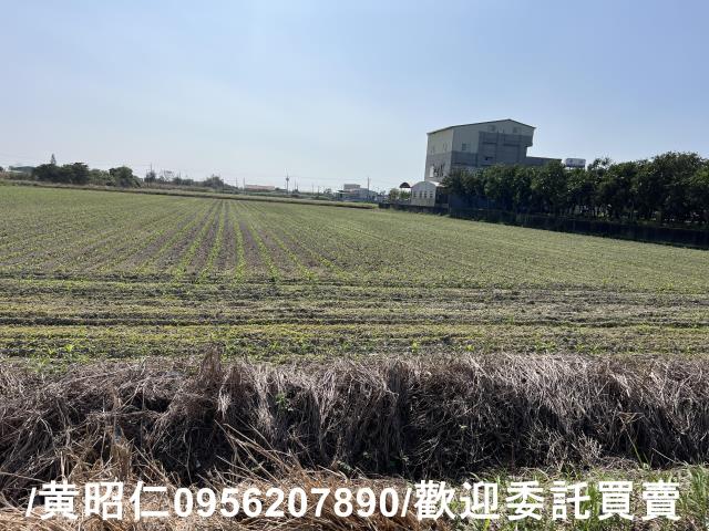 台南七股農地-4