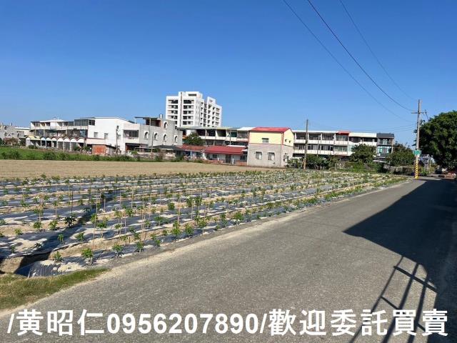 佳里農地-14