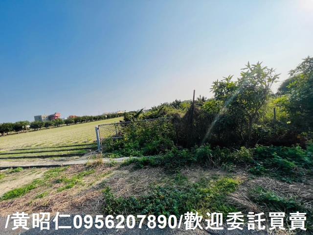 佳里農地-2