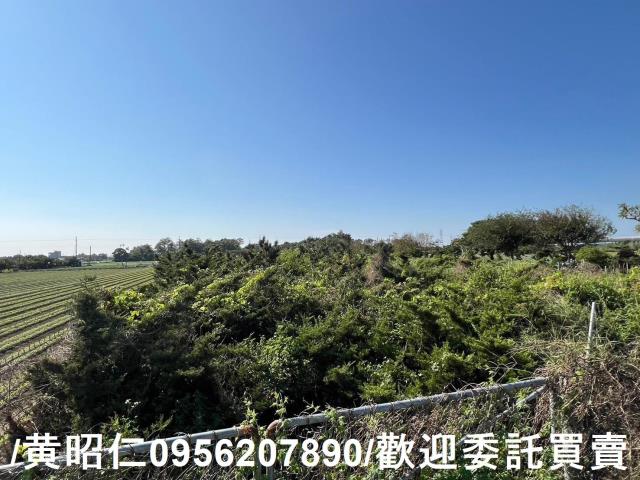 佳里農地-7