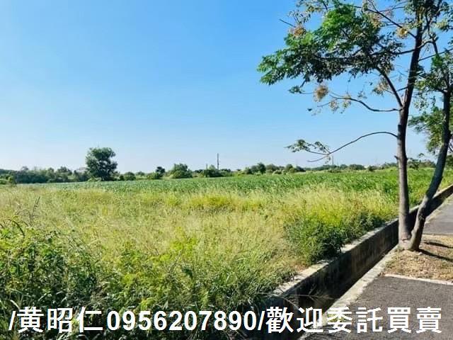 新化農地-11