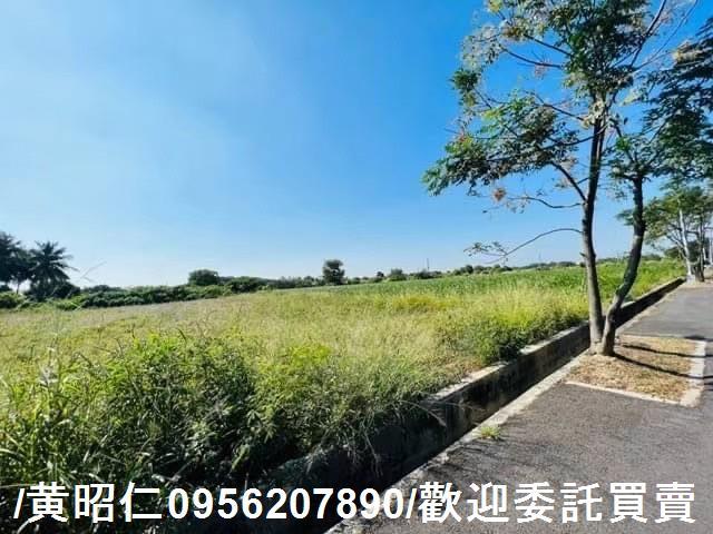 新化農地-2