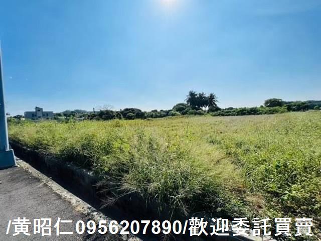 新化農地-6