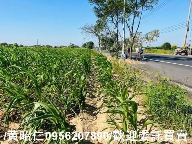 新化農地-7