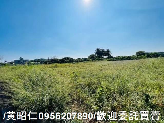 新化農地-9