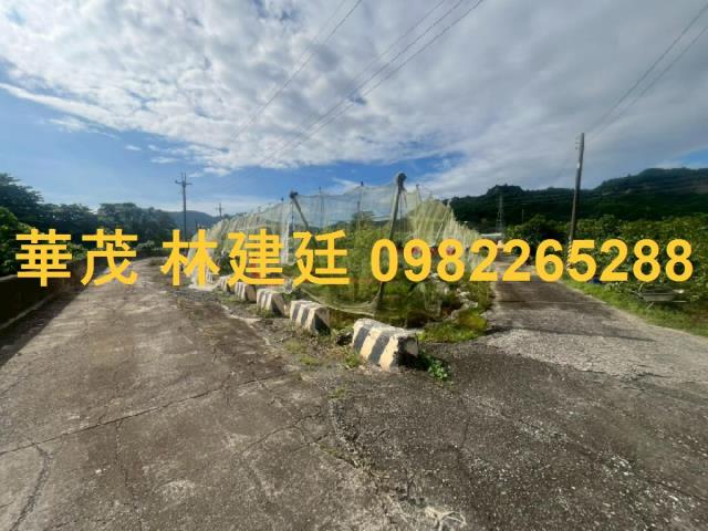 玉井法拍農地-4