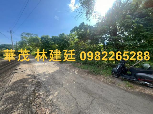 玉井法拍農地-2