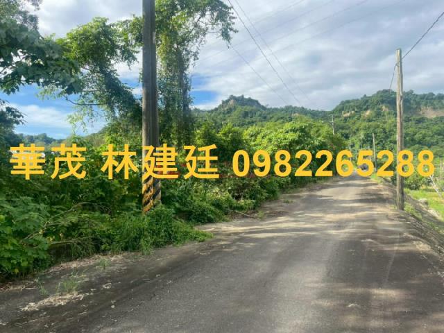 玉井農地法拍-2