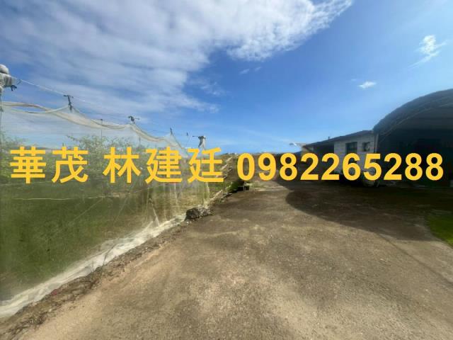 玉井農地法拍-6