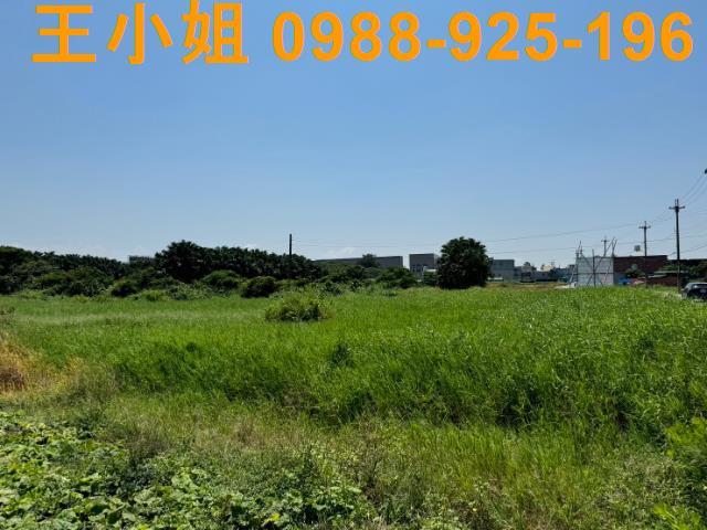 桃園農地-4