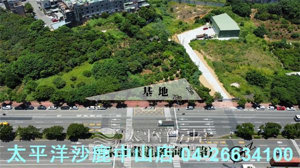 台中沙鹿保護地-1