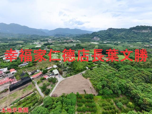 玉井農地-10
