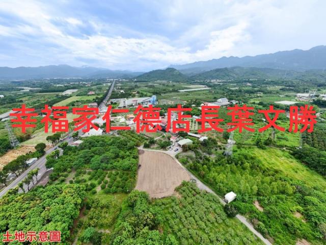 玉井農地-2