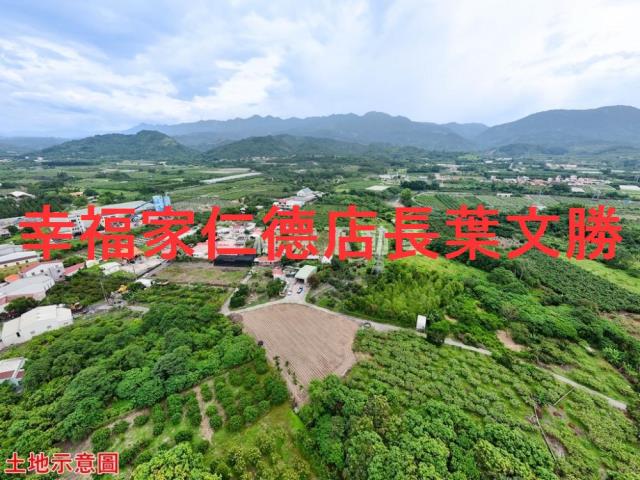 玉井農地-4