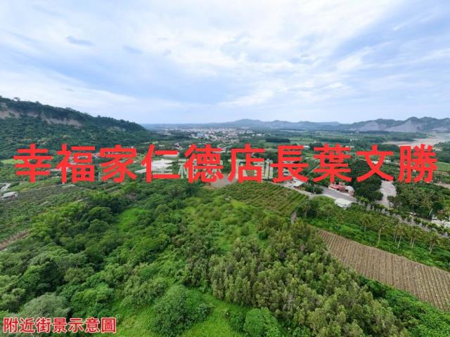玉井農地-9