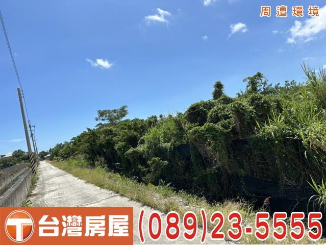 卑南農地-2