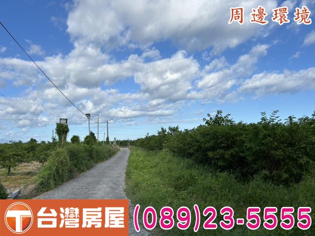 台東市農地-5